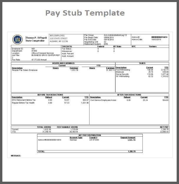 Blank Paystub Template