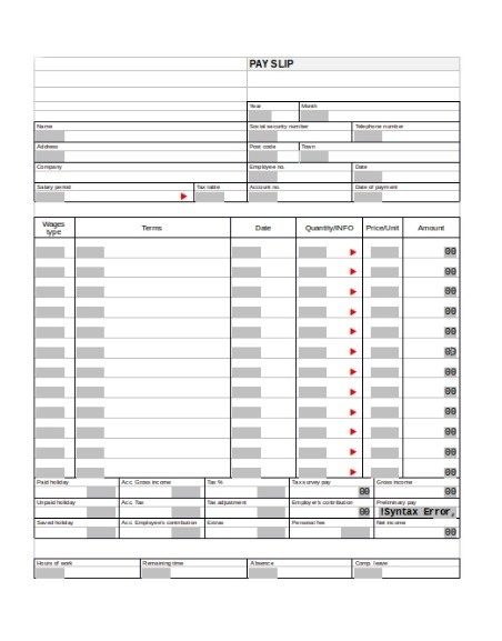 Pay Stub Layout