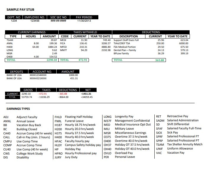 Pay Stub Template PDF