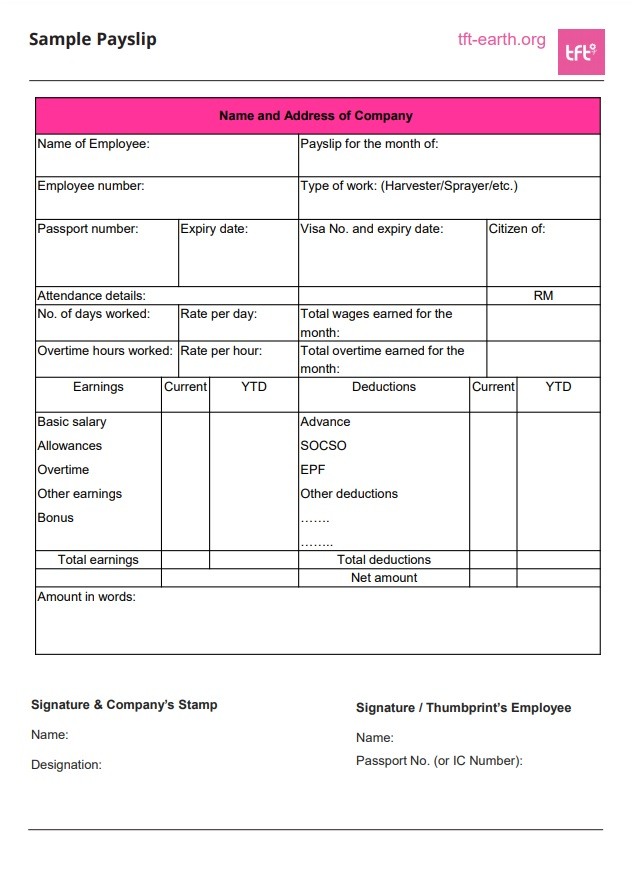 Payslip Layout