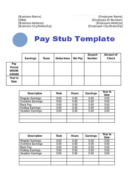 Paystub Format